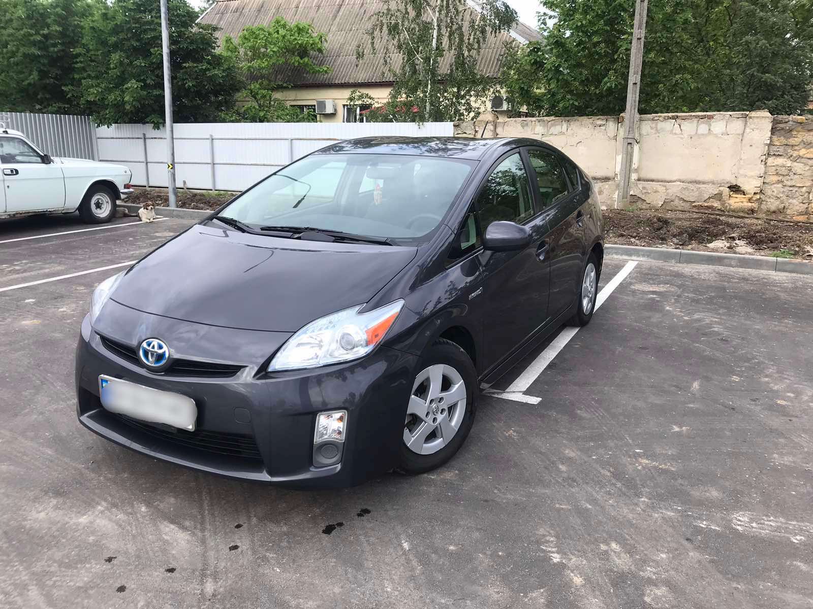 Прокат | Аренда Toyota Prius в Одессе от CATCAR