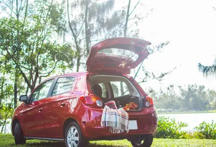 Photo to the page of  A Family Picnic Thanks To a Rental Car